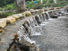 -广州市石门国家森林公园