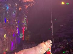 -广州长隆国际大马戏