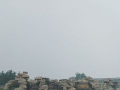 -石家庄市植物园