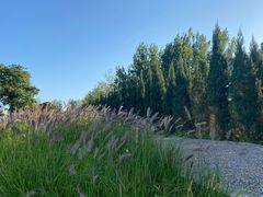 -汉长安城未央宫国家考古遗址公园