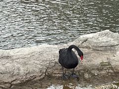 -西昌邛海湿地