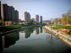 -坝河休闲公园