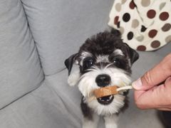 -FAELING PETS美天灵宠物(富力广场店)