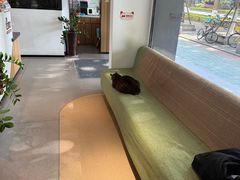 -御宝贝·A梦猫科宠物医院(国际猫友好医院)