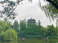 -济南大明湖景区