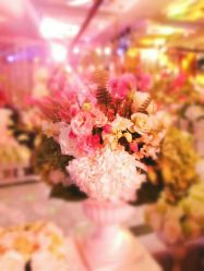 点击看大图 -雅奇婚庆(永乐园社区店)