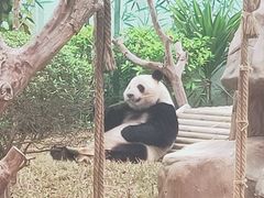 -南宁市动物园