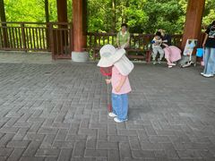 -重庆彩云湖湿地公园