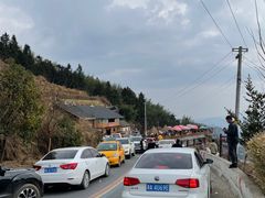 -紫鹊界梯田景区
