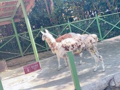 -杭州野生动物世界