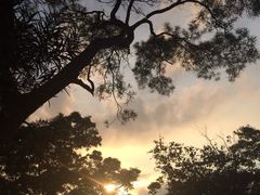 -草山夜未眠景观餐厅