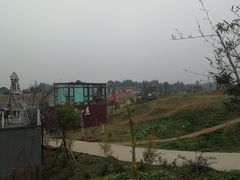 -空港花田景区