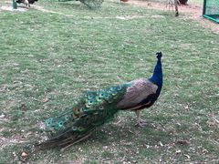 -泗洪洪泽湖湿地景区