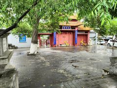 -桃花堤公园