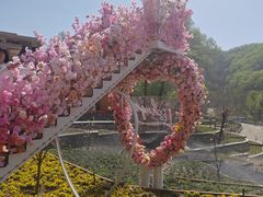 -京东石林峡风景区
