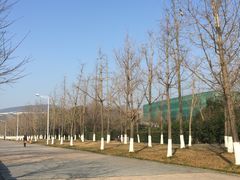 -金陵图书馆