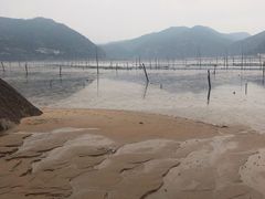 -北岐滩涂