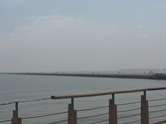 -东疆建设开发纪念公园