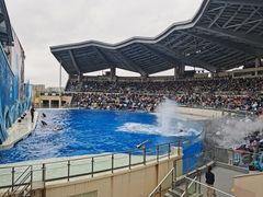 -上海海昌海洋公园