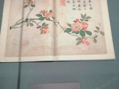 -四川大学博物馆