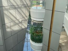 -上海明天广场JW万豪酒店