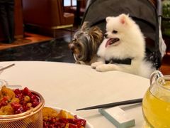 -蝶园·装修中(BFC外滩金融中心店)