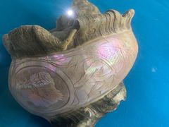 -青岛贝壳博物馆