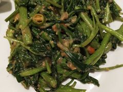 -食为先(Shark Fin)