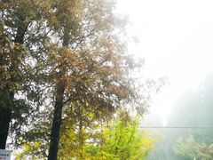 -山王坪喀斯特国家生态公园