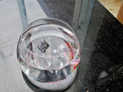 -无锡鼎尚皇冠酒店