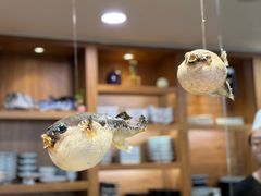 -天正河鲀·河豚亭(大连店)