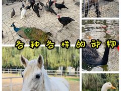 -洛阳马蹄泉旅游度假村