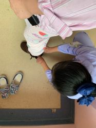 -复旦大学附属妇产科医院(杨浦院区)