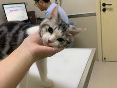 -爱妮康宠物医院·干细胞免疫细胞·肿瘤·心脏(张江店)