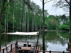 -波尔登森林公园