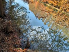 -上海海湾国家森林公园