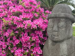-柱状节理带