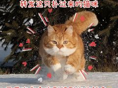 -北区拉面(泰丰家园店)