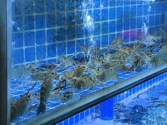 -吉源大排档·鱼生·海鲜(烧烤彩印厂店)