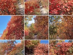 -北京十三陵国家森林公园蟒山景区