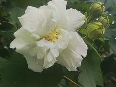 -长广溪湿地公园