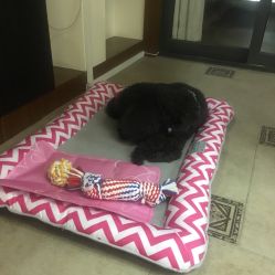 -杉惠素颜美妆皮肤管理中心