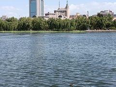 -莲花池公园