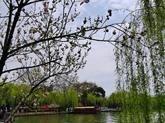 -西湖游船
