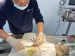 -良伴无忧宠物医院(泰欣嘉园店)