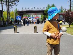 -黄海国家森林公园