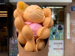 -成裕雪糕店(士多店)
