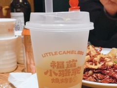-福苗小骆驼烧烤(莲湖路店)