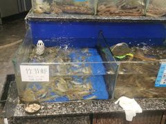 -船家渔(徐州北路店)