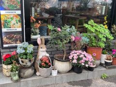 -家烧面馆【南山路知名经典面食】